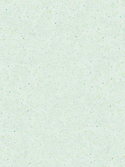 Belka B37 - Tapeta Szałwiowa Zieleń Nowoczesna aranżacja ścian 1kg